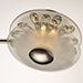 Peony 8-Light LED Pendant