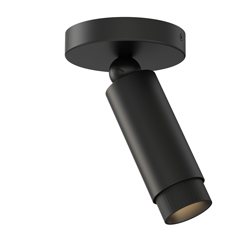 Cleo Adjustable Spot Light