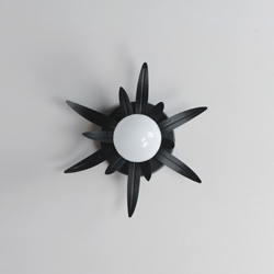 Paloma 1-Light Sconce