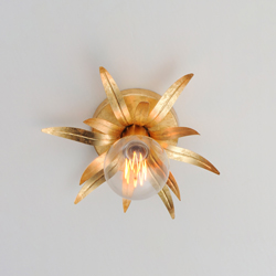 Paloma 1-Light Sconce