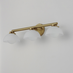 Domain 3-Light Bath Vanity - Frost/Brass