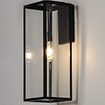 Catalina 1-Light Medium Outdoor Wall Sconce