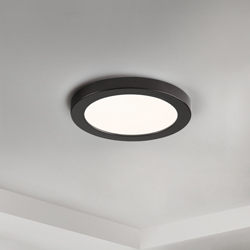 Chip 5 12W RD LED Flush Mount