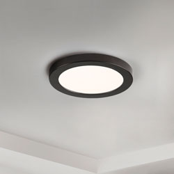 Chip 5" 12W RD LED Flush Mount