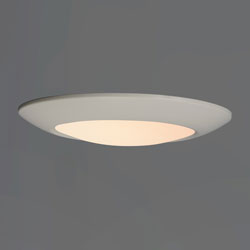 Diverse 11" LED Flush Mount 2700K