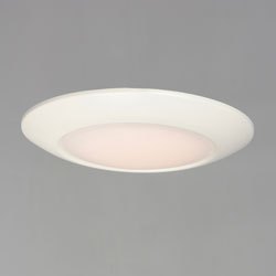 Diverse 11" LED Flush Mount 4000K